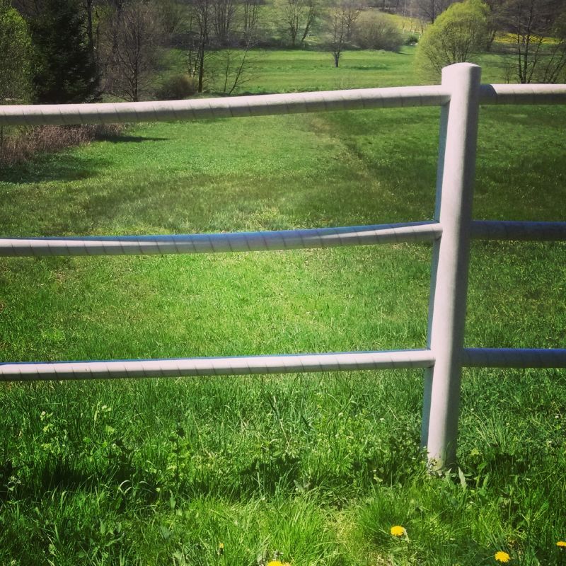 Cattle Fence Repair