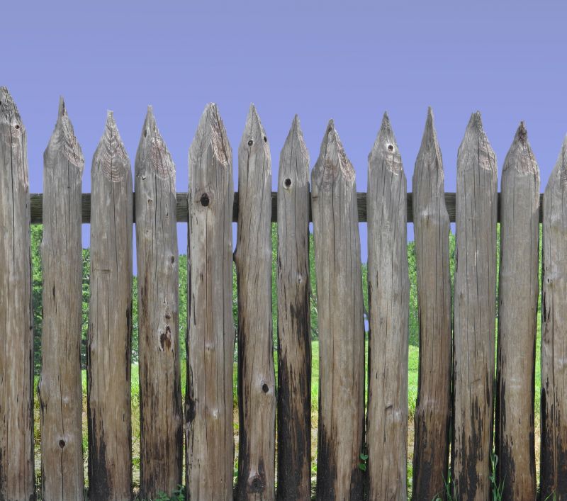 Fence Repair in Spring